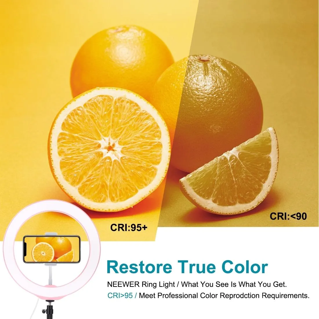 26cm Dimmable Led Ring Light with Tripod and Phone Clamp