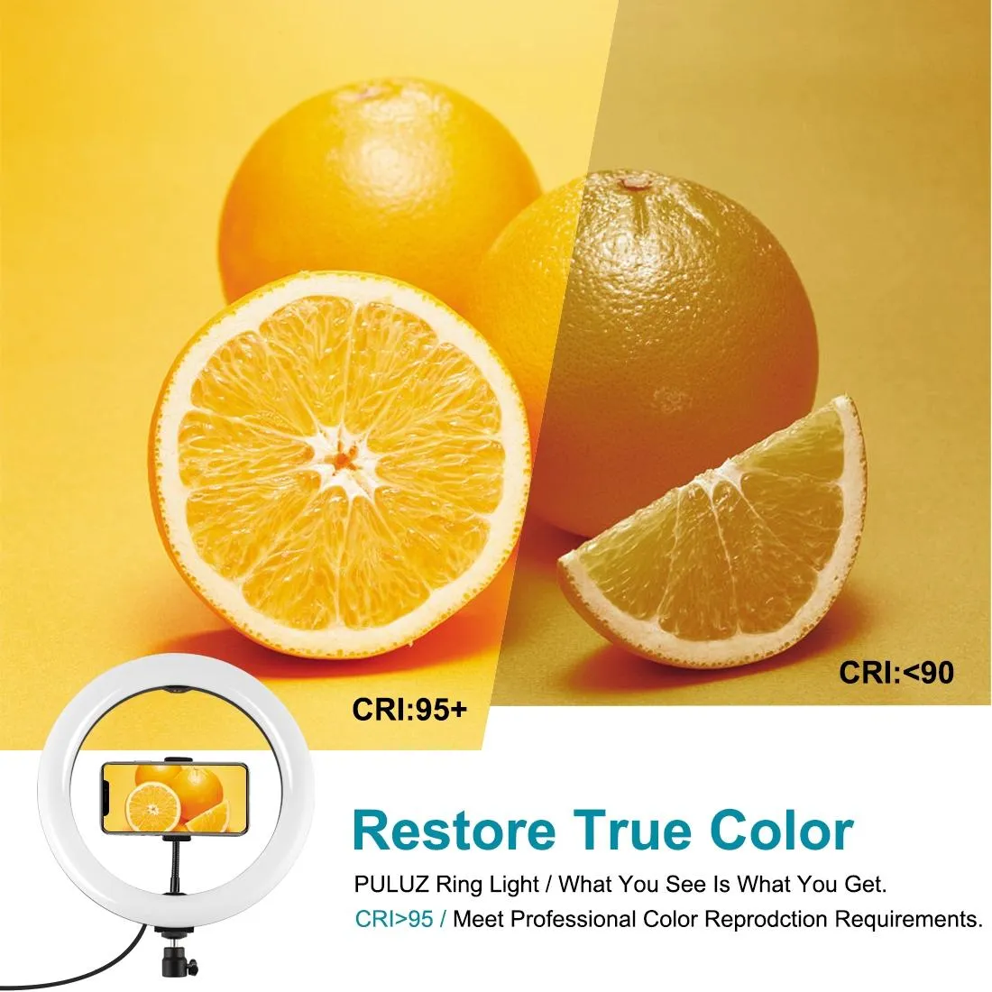 26cm Dimmable Led Ring Light with Tripod and Phone Clamp