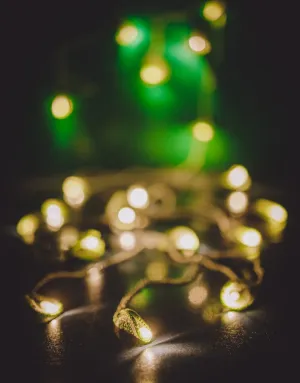 Handmade LED String Lights Green Lily Bougainvillea