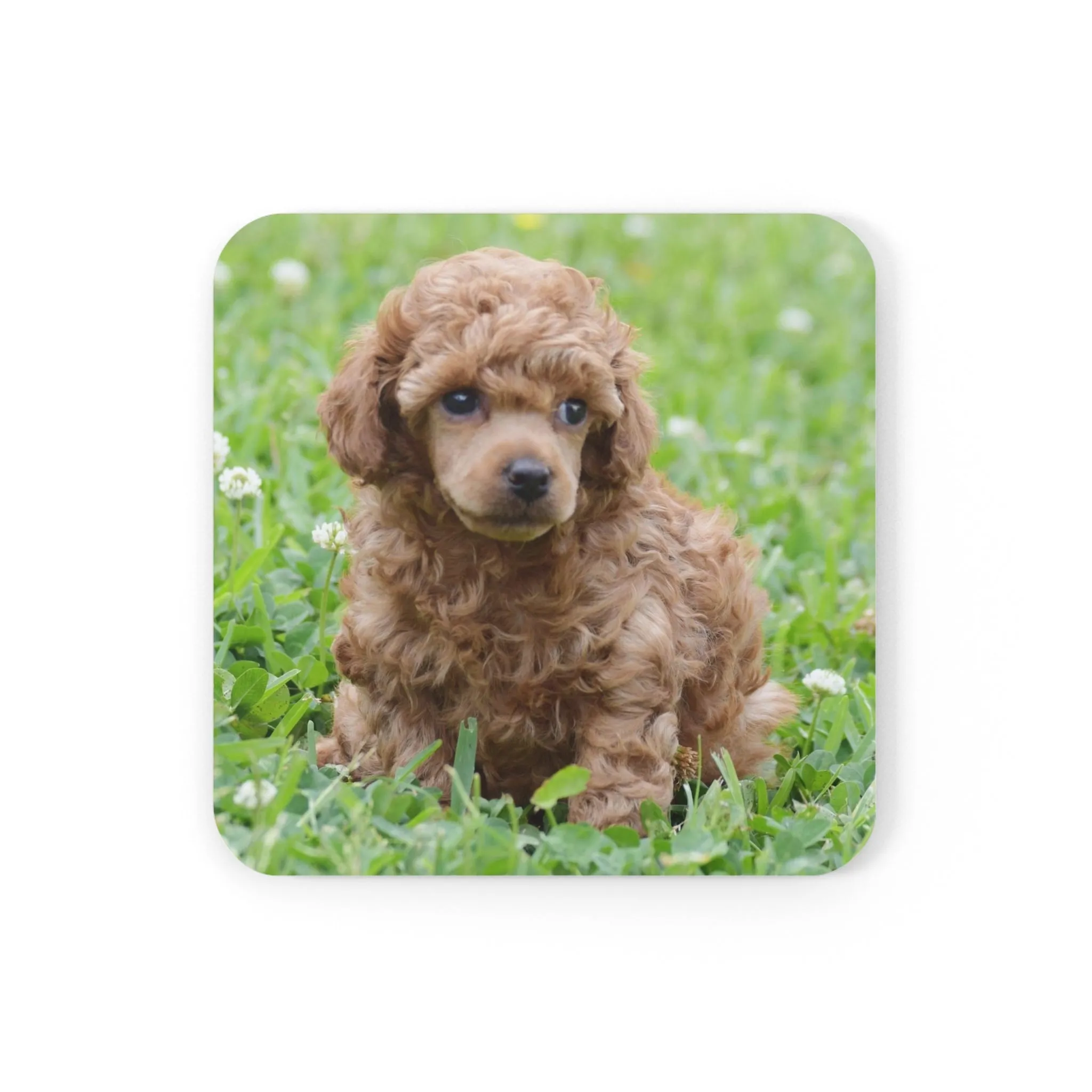 Poodle Coasters - Set of 4 Hardboard Coasters - Radiant Red Poodles - Bella