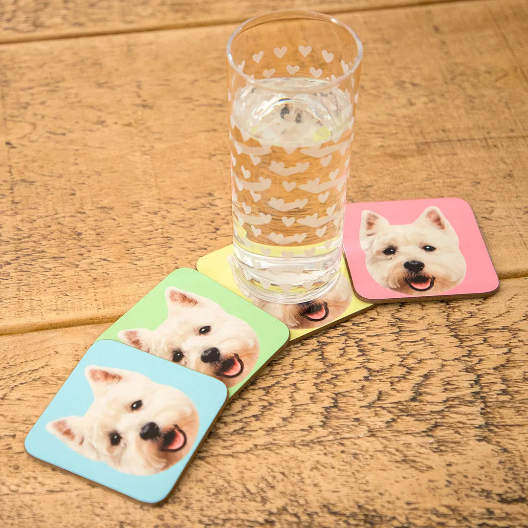 Your Dog Coasters - Colour Sets